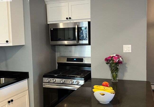 Range Stove - 17 Townsend St