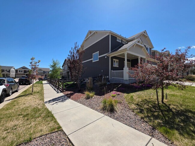 Foto del edificio - Gorgeous 4 Bed 4 bath Home In Banning Lewis Ranch!!