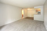 Located at 4401 Morris St NE in Albuquerque, New Mexico, this single-floor residence offers a practical and well-organized layout. The living room is spacious and carpeted, featuring a textured ceiling and a sliding glass door that opens to a private balcony with outdoor views. It connects seamlessly to a breakfast bar that divides the space from the kitchen.

The galley-style kitchen is efficiently designed with warm wood cabinetry, stainless steel appliances including an electric range and over-the-range microwave, a double sink, and wood-look flooring that adds a clean, durable finish underfoot.

The bedrooms are carpeted and well-proportioned, each offering ample natural light through windows fitted with vertical blinds. At least one bedroom includes a reach-in closet with built-in rods for organized storage.

The unit includes two bathrooms. The primary bathroom features a vanity with a speckled countertop, an undermount sink, wood-toned cabinetry, wood-look flooring, and a framed glass sliding shower enclosure. A secondary bathroom offers a full tub and shower combination with chrome fixtures.

Throughout the residence, neutral tones, textured ceilings, and consistent flooring materials create a cohesive and functional living environment suitable for everyday comfort.