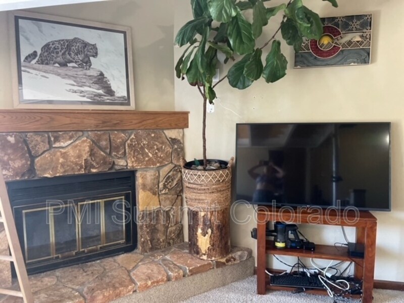 10000 Ryan Gulch Rd Unit G 103, Silverthorne, CO 80498 Condo for Rent