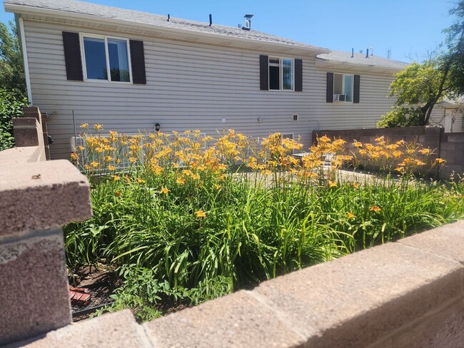 Building Photo - Deer Springs Townhomes