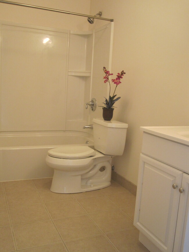 Building Photo - 20 Amici Way