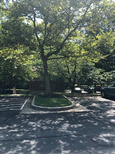 Primary Photo - 14 Rainflower Path