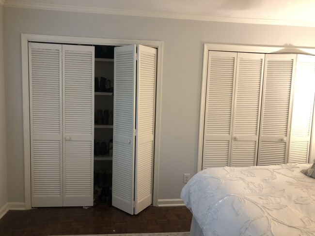 Closets w/ built-in shelving - 3733 Jamestown Cir