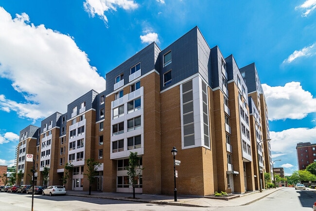 Building Photo - 1121 Rue De Bullion