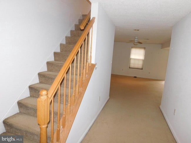 Building Photo - 49 Tattersall Dr