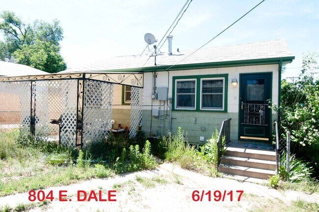 BACK DOOR & PATIO - 804 E Dale St