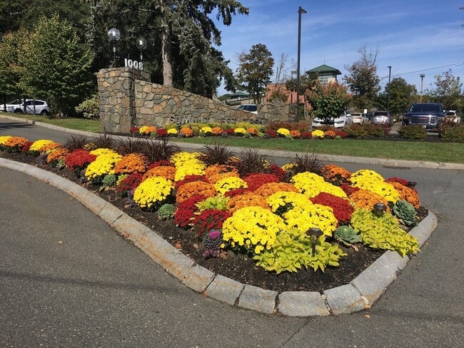 Building Photo - 1006 Paradise Rd