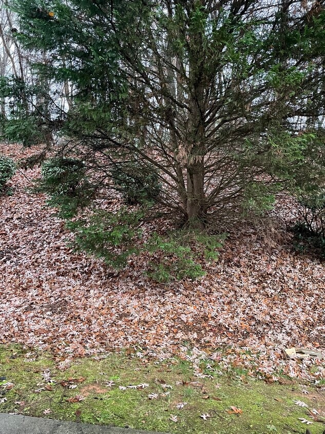 Building Photo - 5307 Strasburg Dr