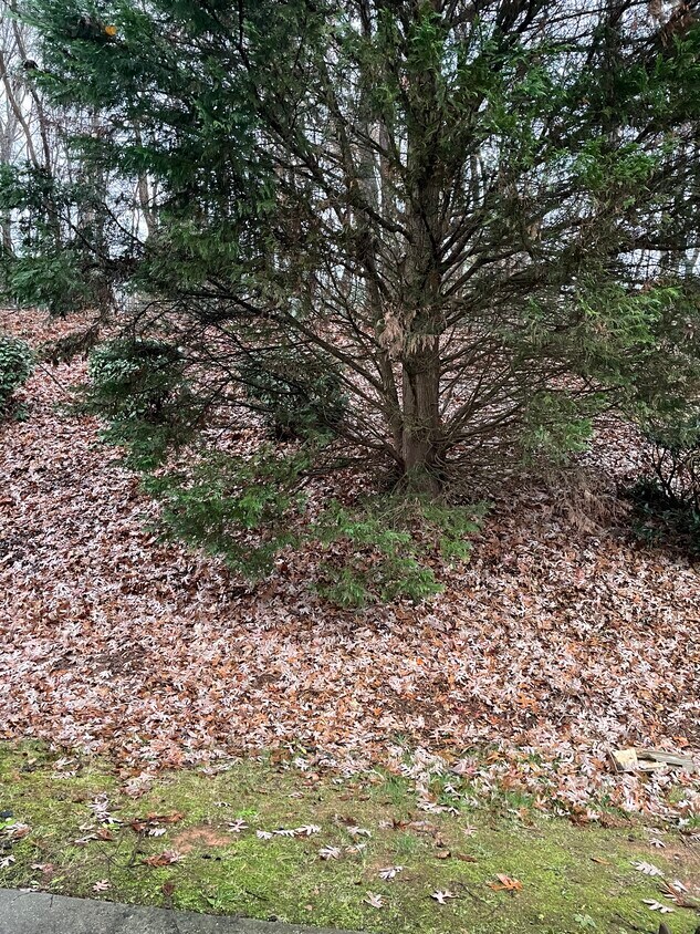 Foto del edificio - 5307 Strasburg Dr