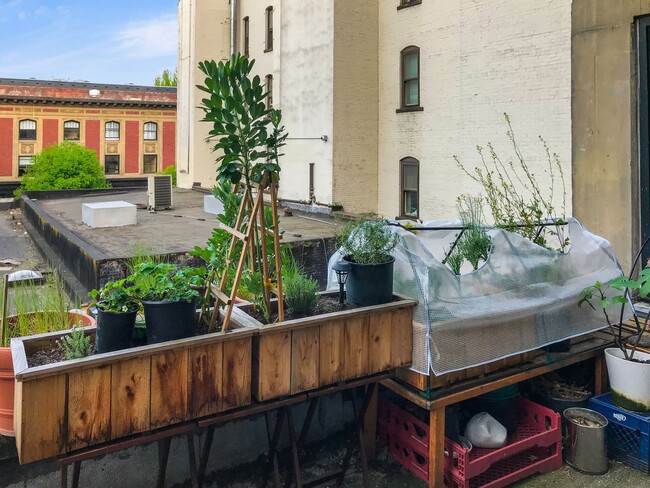 Building Photo - North Park Lofts - Historic Pearl District Warehouse Studio w/parking/most utilities/rooftop patio