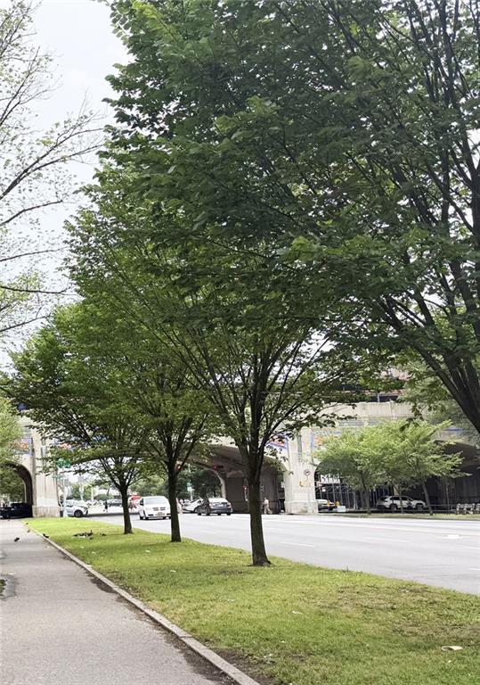 Foto del edificio - 3039 Ocean Pkwy