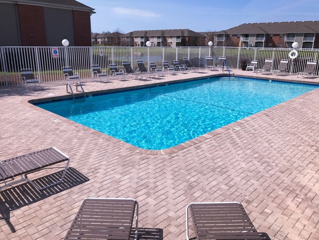 Swimming Pool - Alison Pointe
