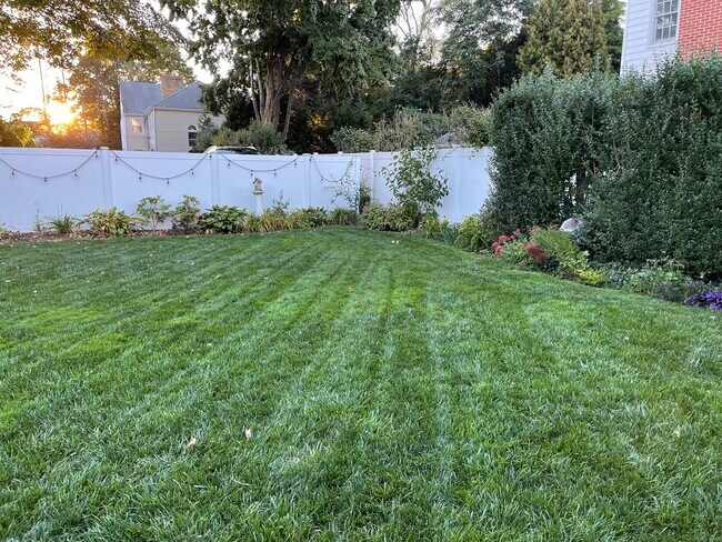 Foto del edificio - 126 East Ave