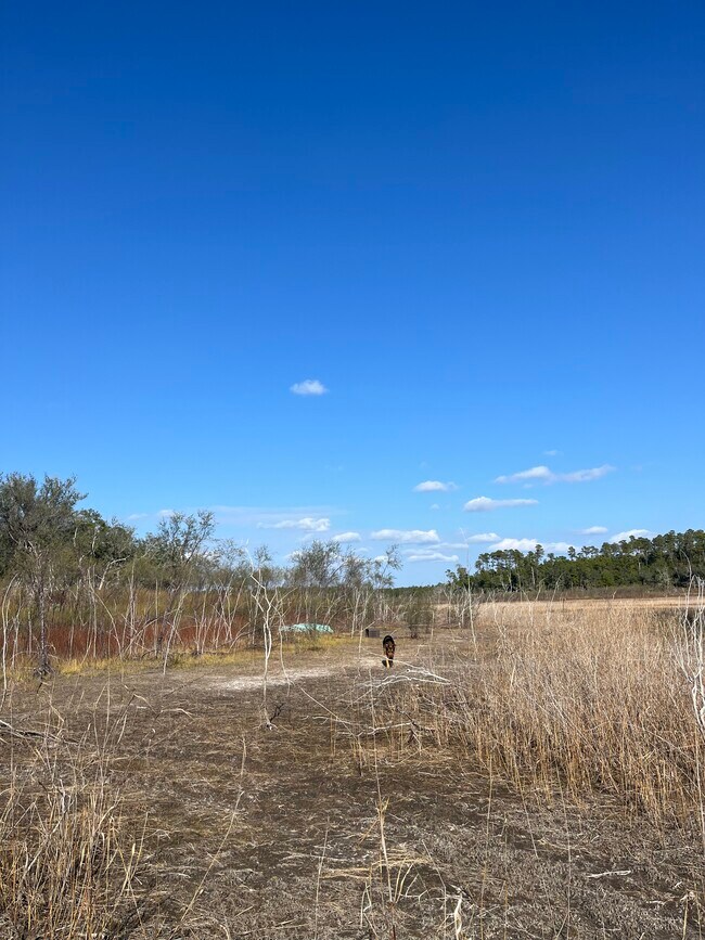 Foto del edificio - 2894 River Lake Dr