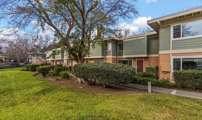 Building Photo - 1573 Drake Dr