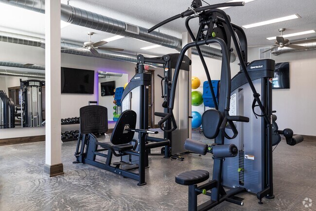 Gimnasio 2 - The Vue