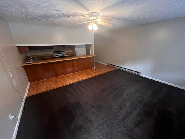 Building Photo - Great 1bd Condo Close To Town!
