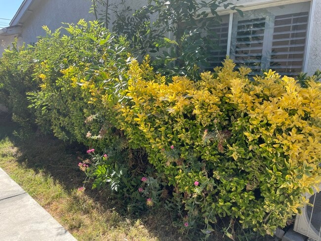 Building Photo - 6914 McLaren Ave