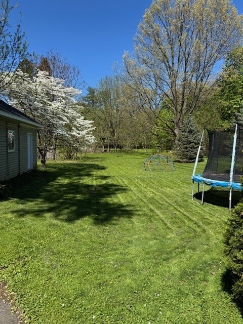 Backyard - 344 Fairport Rd