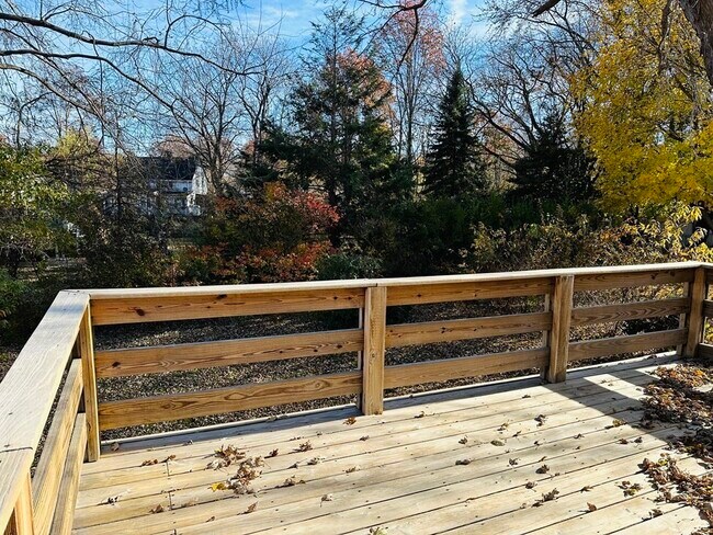 Building Photo - 45 Randlett St