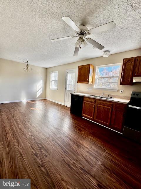 Foto del edificio - 410 Emily Ln