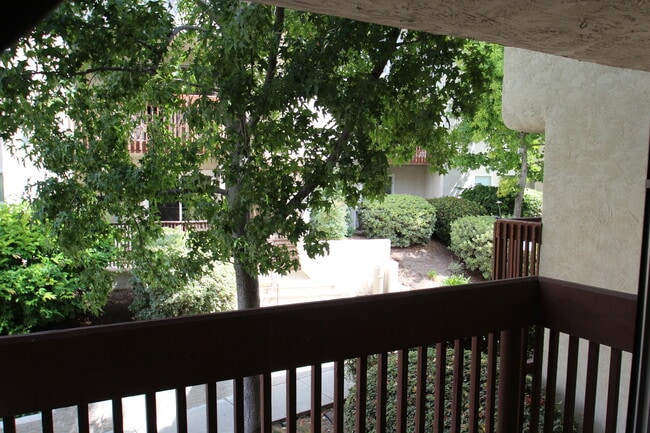 Building Photo - Gorgeous and Comfortable - Dual Master Sui...