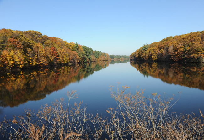 Lake Whitney - Lakewood, L.L.C. (LWD)