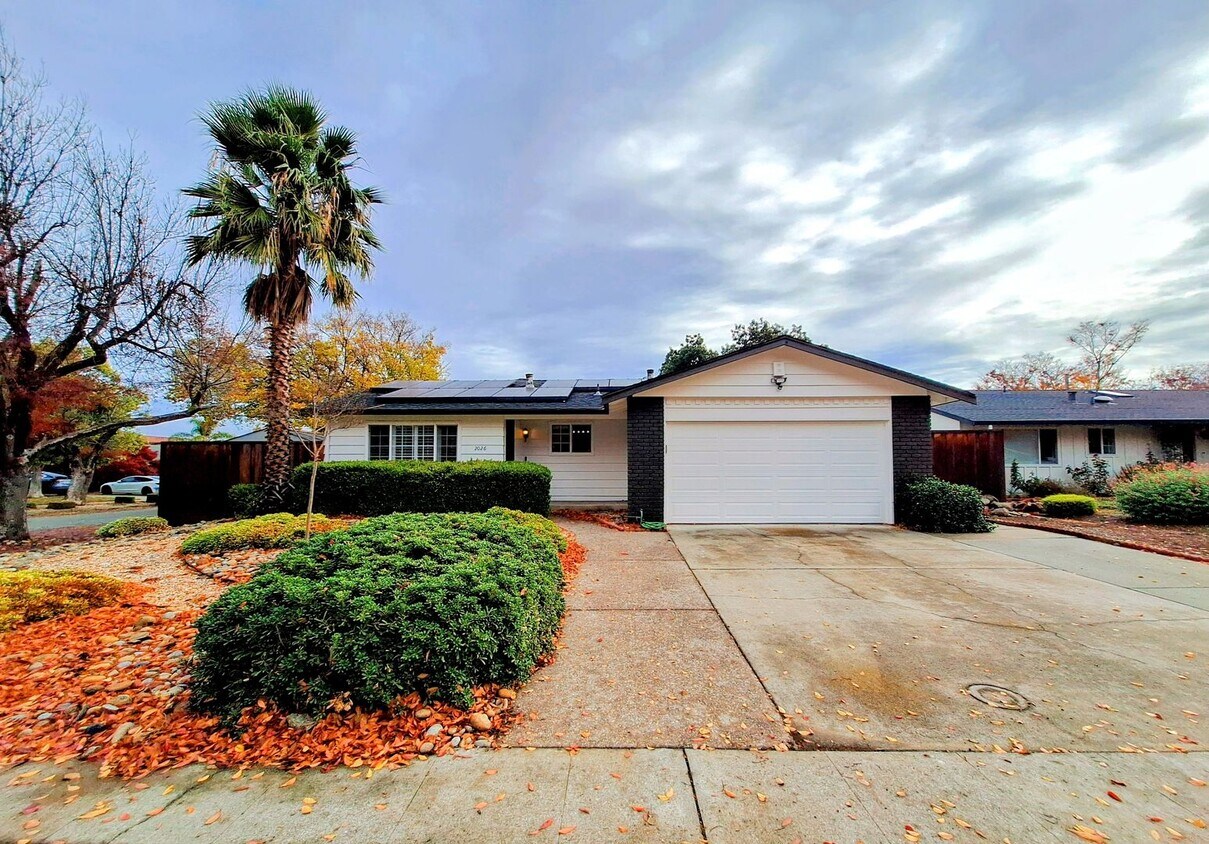 Beatifully Remodeled 3bd Single Story House With Pool! - Beatifully Remodeled 3bd Single Story Hous...