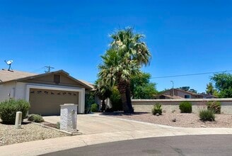 Building Photo - 984 N 85th Pl