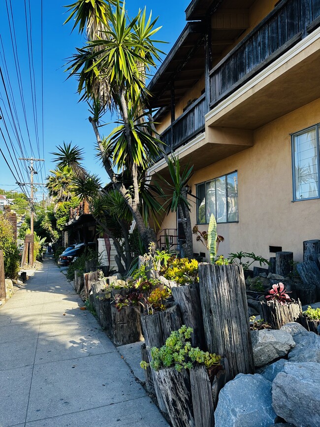 Photo - 1624 Scott Ave (Los Angeles, CA) Apartments
