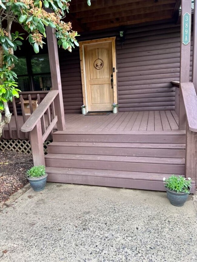 Foto del edificio - Best Kept Secret in Asheville