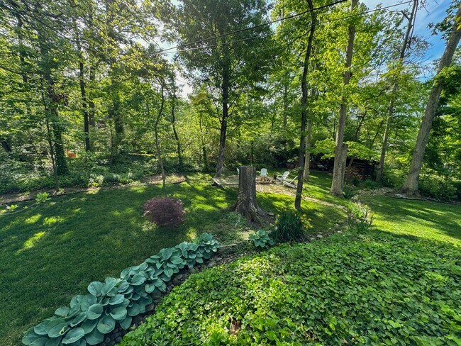 Backyard (.5 acre lot) - 1301 Gahant Rd