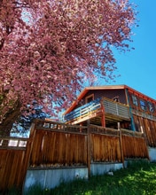 Building Photo - 251 Pagosa St