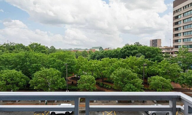 Foto del edificio - Downtown Greensboro High-Rise Luxury 1 bed...
