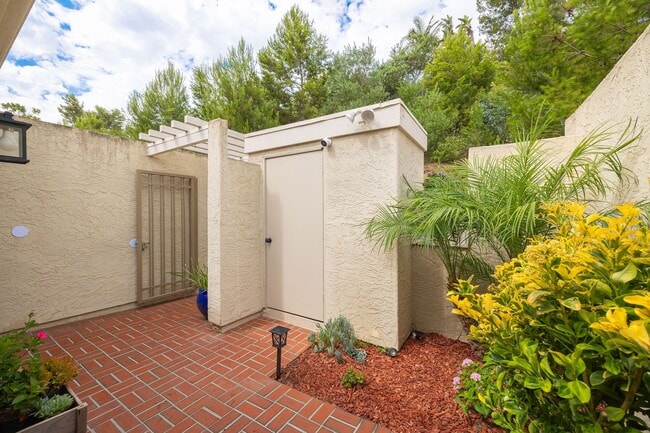 Building Photo - Beautiful large (914 sq feet) 1 bedroom no...