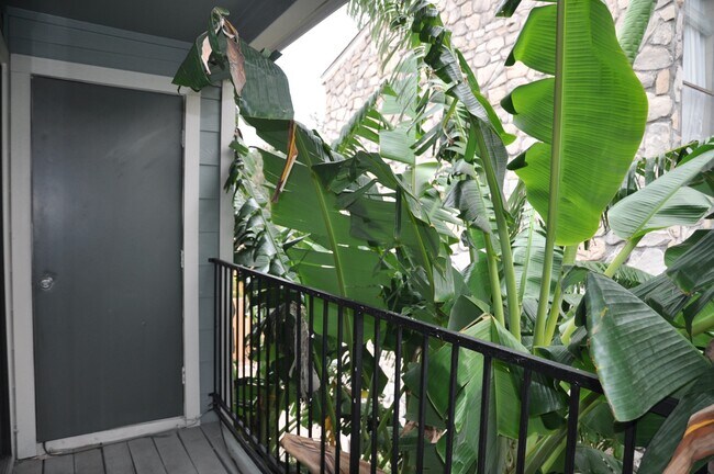 Foto del edificio - 3754 Tanglewilde St