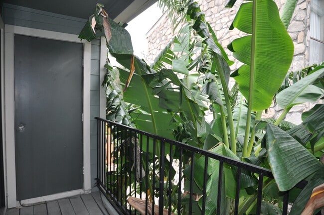 Building Photo - 3754 Tanglewilde St
