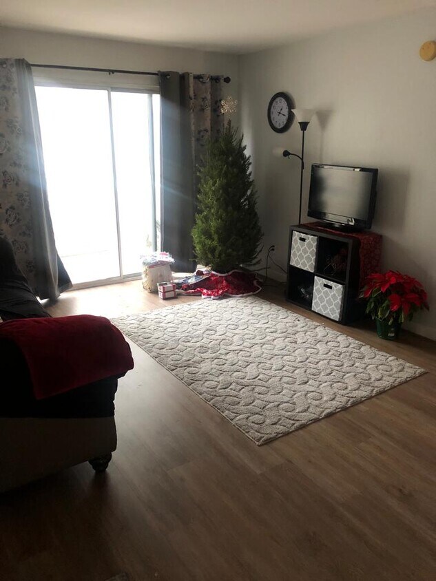 Living Room - 3119 Key Largo Dr