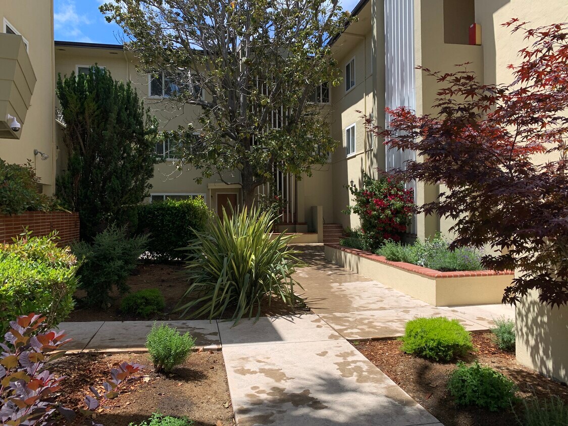 Courtyard - 1210 Oak Grove Ave