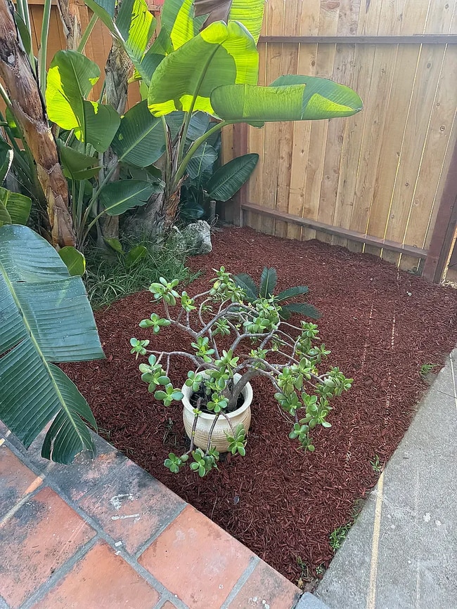 Foto del edificio - 3739 Jewell St