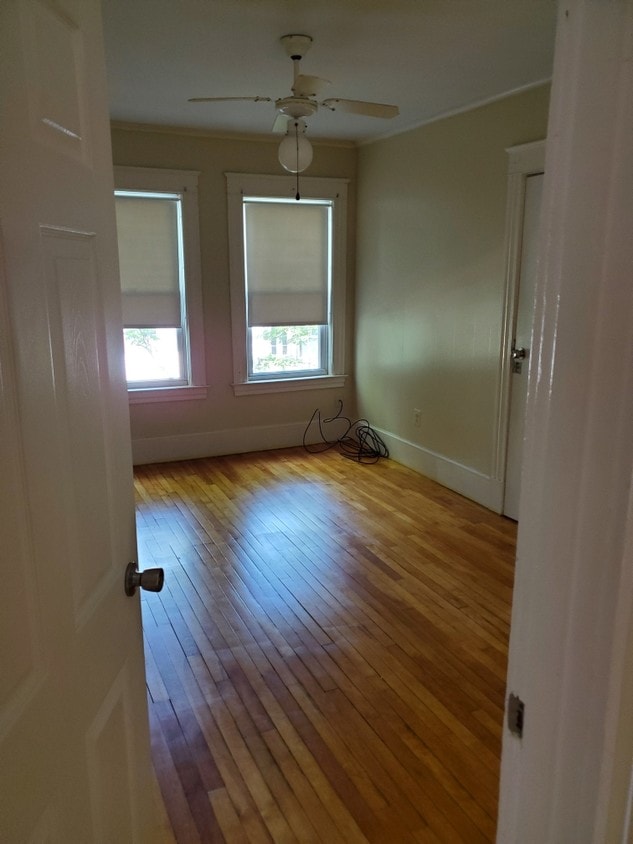 Primary Photo - 5 Maple Terrace