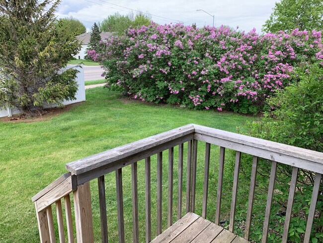 Patio trasero - 4902 S Kalen Plz