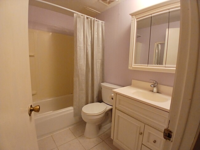 Downstairs bath - 15160 E Robin Ln