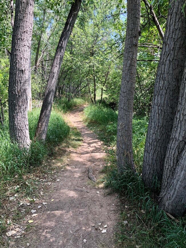 Foto del edificio - 1621 Underhill Dr