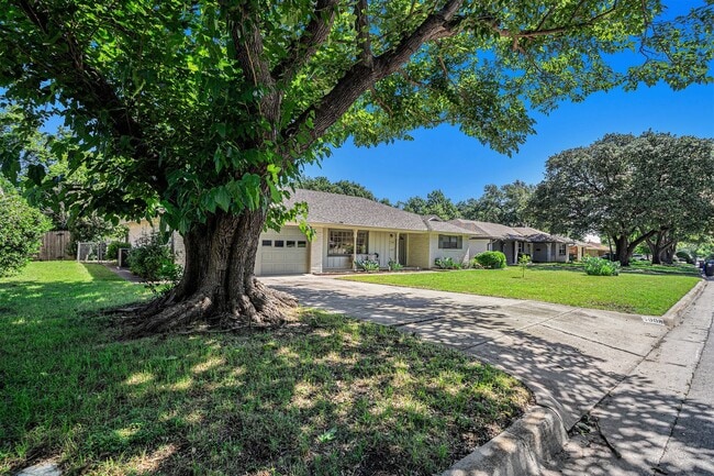 Building Photo - Gorgeous Mid-Century Modern Ranch in Wedgwood