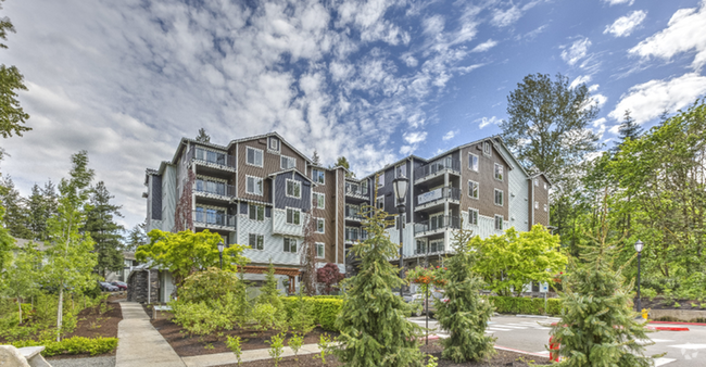 Building Photo - Timberlake Park Apartments