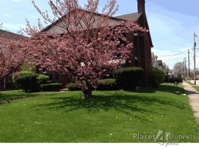 outside - 517 Woodlawn Rd