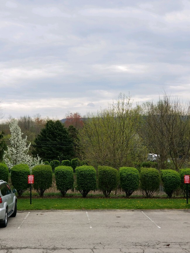 Whitney South Townhouses Apartments Latrobe, PA