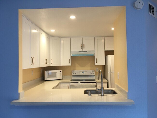 Fully remodeled kitchen with brand new cabinets and quartz countertops - 5318 Borneo Cir